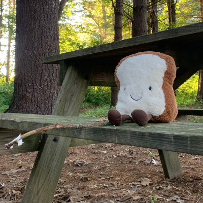 A plush slice of bread named "Bready" sits on a picnic table seat with a stick next to it with part of a roasted marshmallow on the end. 